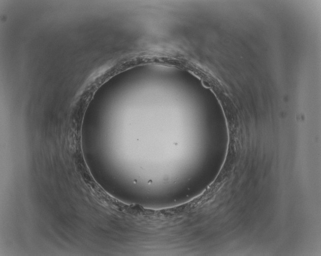 X0000080721207200612151150