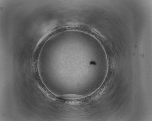 X0000080721208200612151150