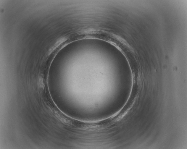 X0000080721209200612151150