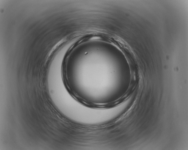 X0000080721210200612151150