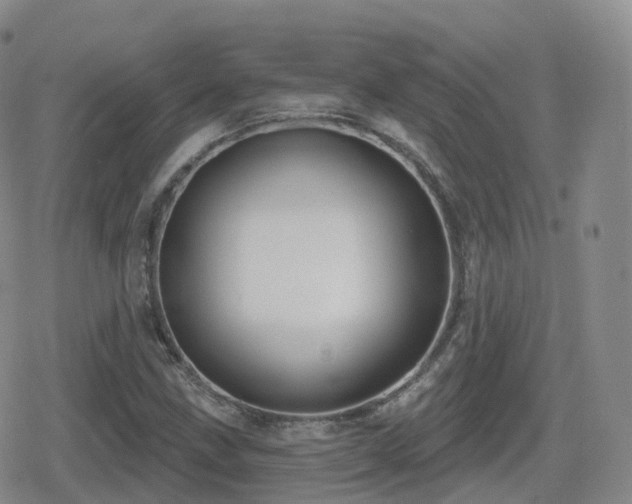 X0000080721211200612151150