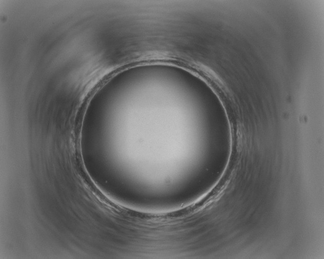 X0000080721212200612151150