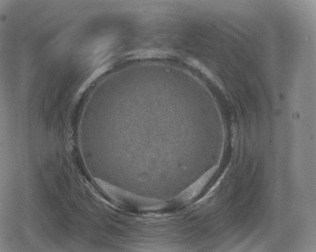 X0000080721213200612151150