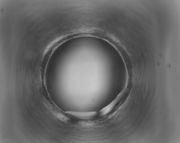 X0000080721214200612151150