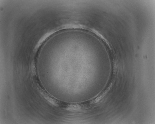 X0000080721215200612151150