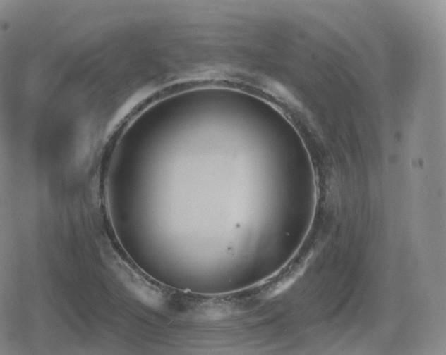 X0000080721216200612151150