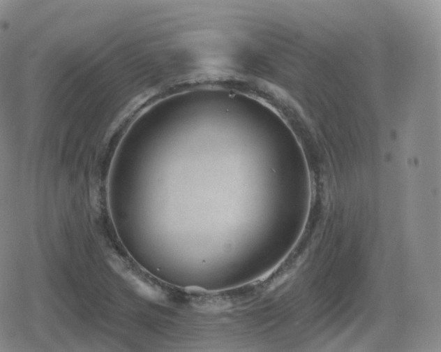 X0000080721217200612151150