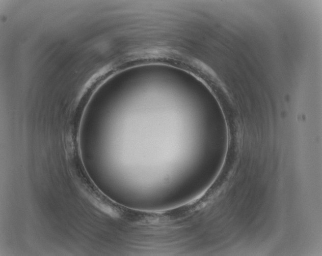 X0000080721218200612151150