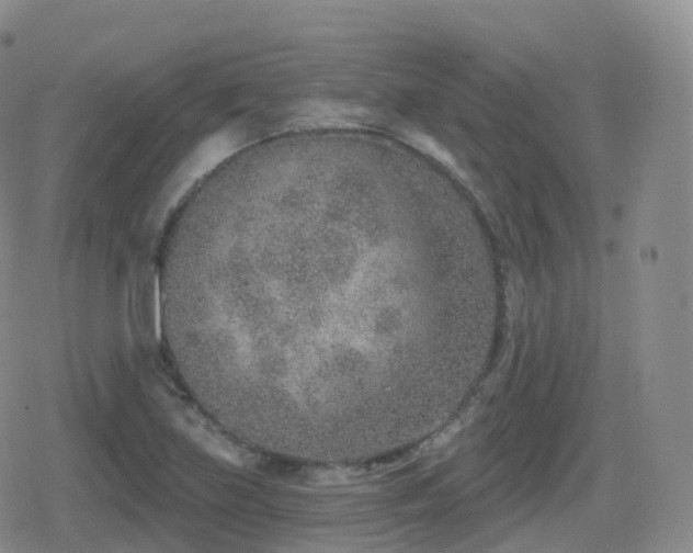 X0000080721219200612151150