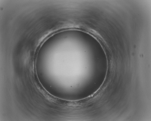 X0000080721220200612151150