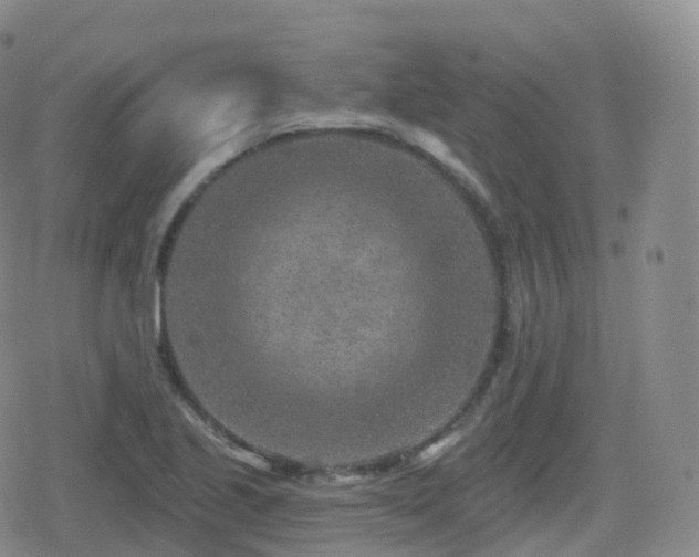 X0000080721221200612151150