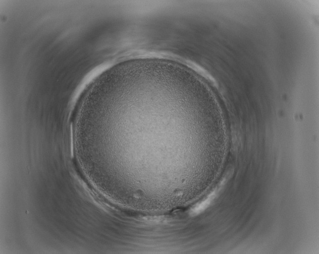 X0000080721223200612151150