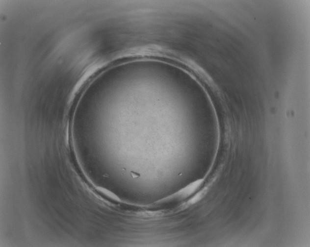 X0000080721224200612151150