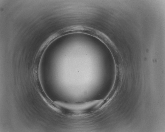 X0000080721225200612151150