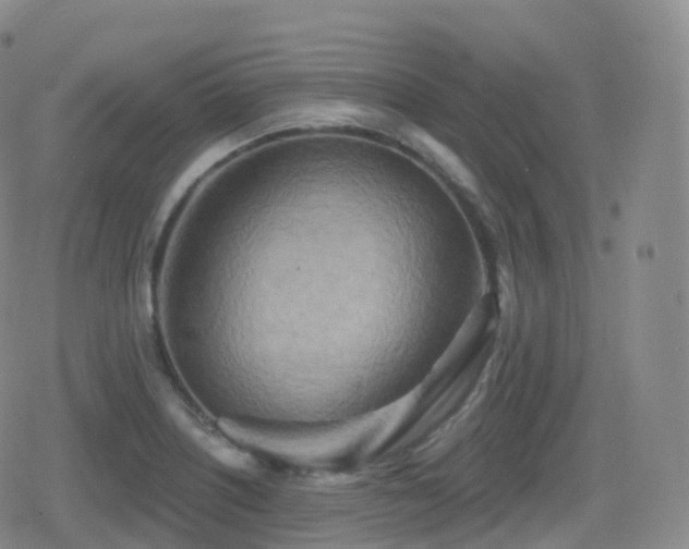 X0000080721226200612151150