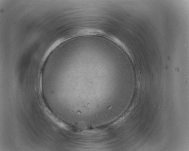 X0000080721227200612151150