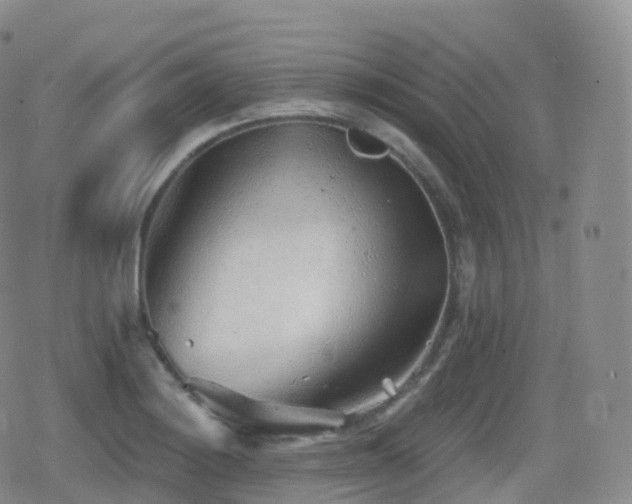 X0000080721228200612151150