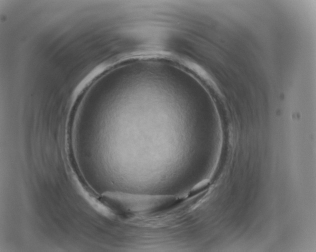 X0000080721229200612151151