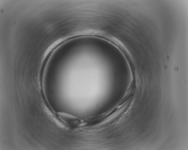 X0000080721230200612151151