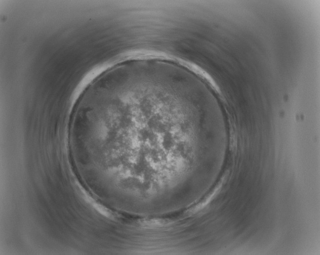 X0000080721231200612151151