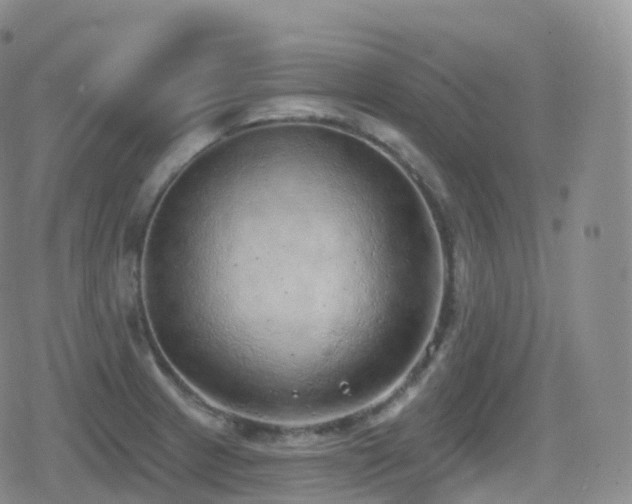 X0000080721233200612151151