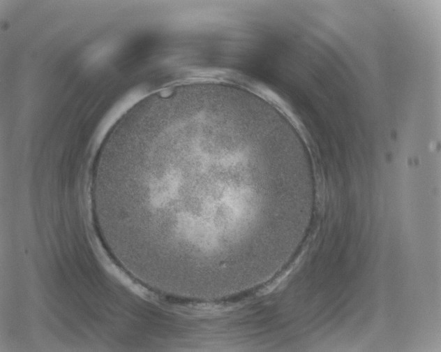 X0000080721235200612151151