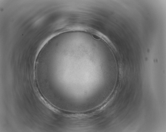 X0000080721236200612151151