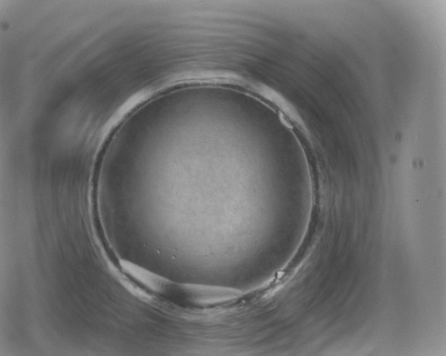 X0000080721237200612151151