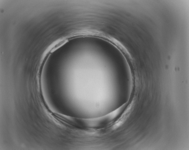 X0000080721238200612151151