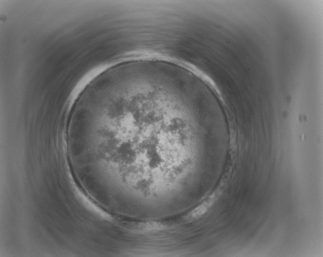 X0000080721239200612151151