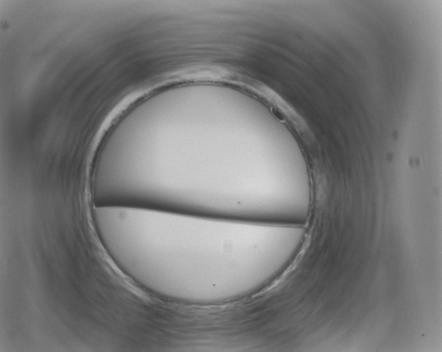 X0000080721240200612151151