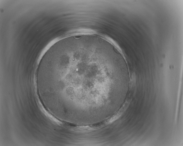 X0000080721243200612151151