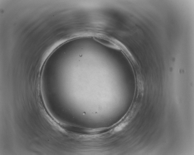 X0000080721244200612151151