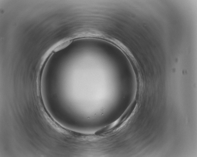 X0000080721246200612151151