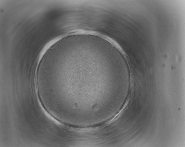 X0000080721247200612151151