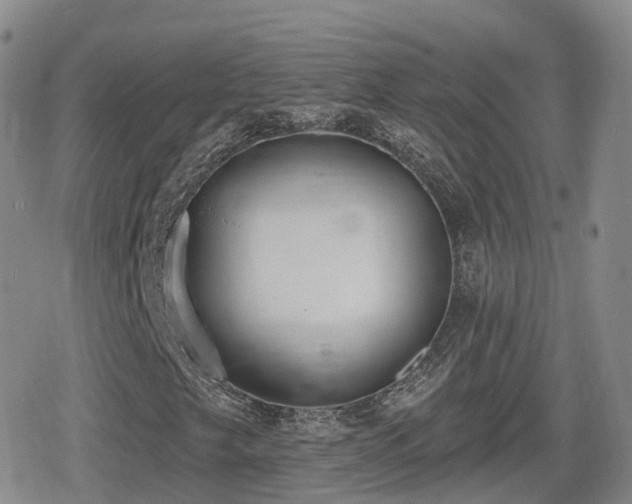 X0000080721249200612151150