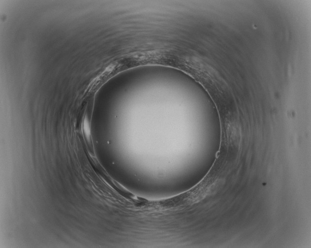 X0000080721250200612151150