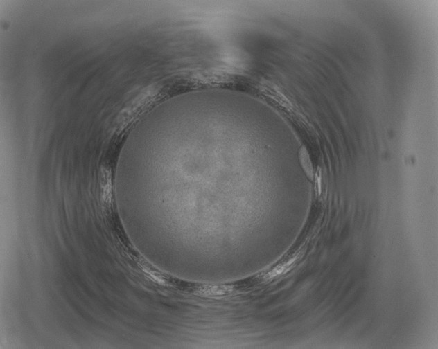 X0000080721251200612151150