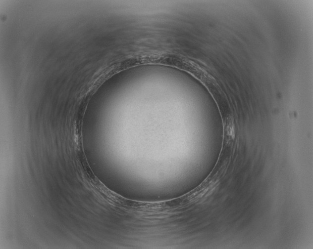 X0000080721252200612151150