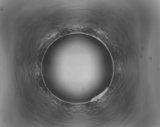 X0000080721253200612151150