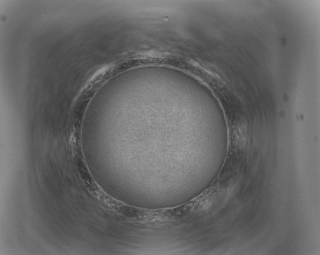 X0000080721254200612151150