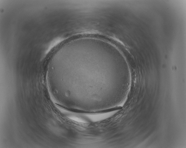 X0000080721255200612151150