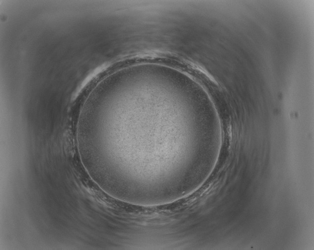 X0000080721256200612151150