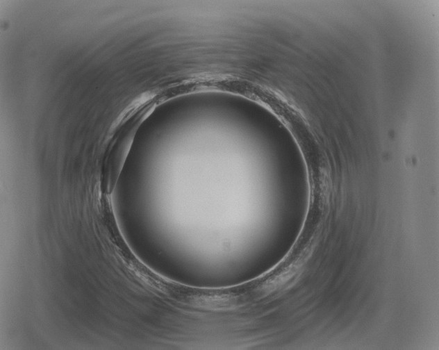 X0000080721257200612151150