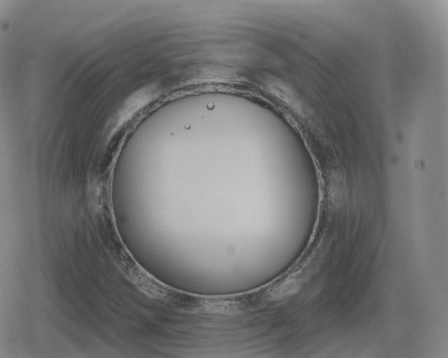 X0000080721258200612151150