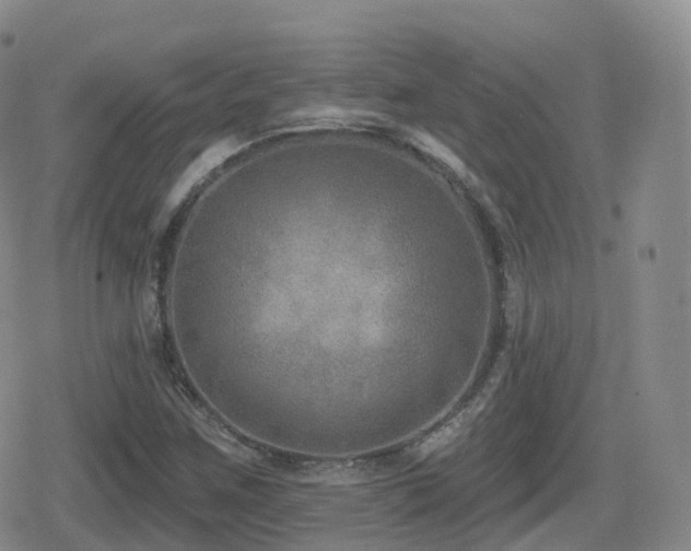 X0000080721259200612151150