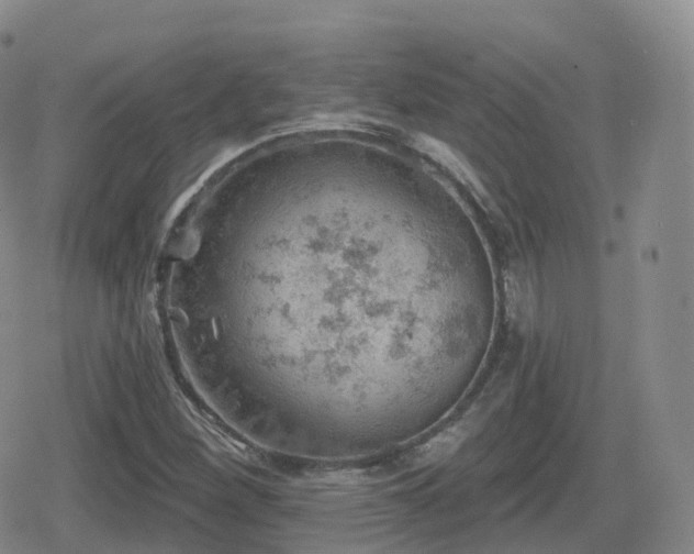 X0000080721260200612151150