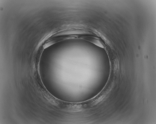 X0000080721261200612151150