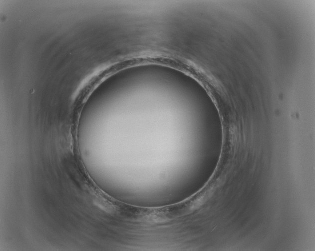 X0000080721262200612151150