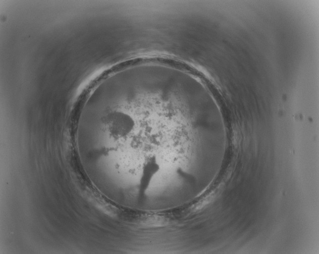 X0000080721263200612151150